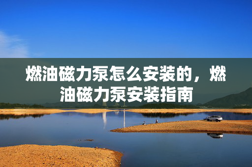 燃油磁力泵怎么安装的，燃油磁力泵安装指南