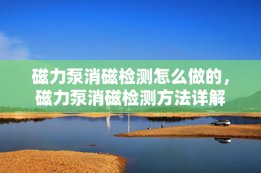 磁力泵消磁检测怎么做的，磁力泵消磁检测方法详解