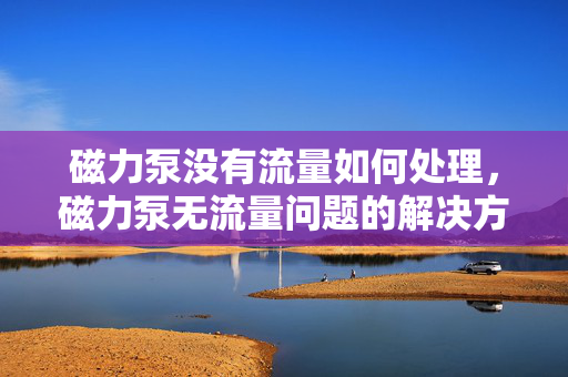 磁力泵没有流量如何处理，磁力泵无流量问题的解决方法