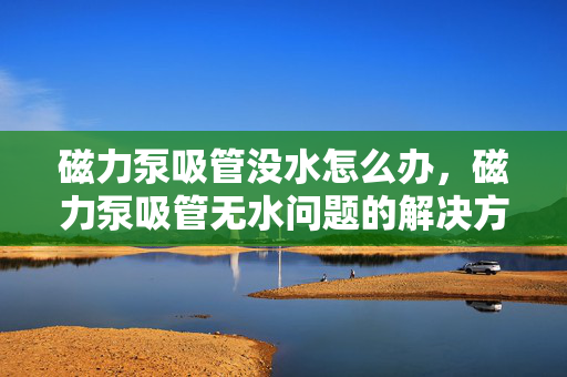 磁力泵吸管没水怎么办，磁力泵吸管无水问题的解决方案