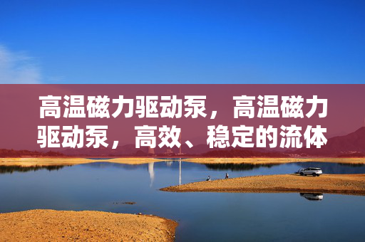 高温磁力驱动泵，高温磁力驱动泵，高效、稳定的流体输送解决方案