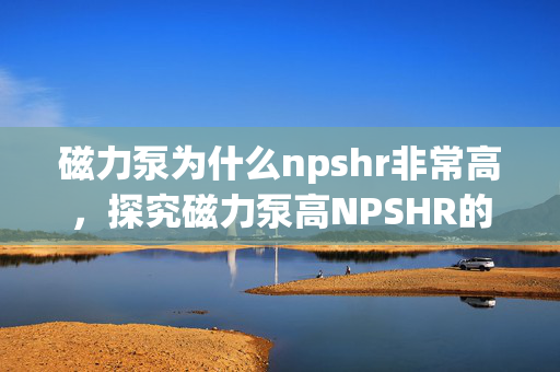 磁力泵为什么npshr非常高，探究磁力泵高NPSHR的原因