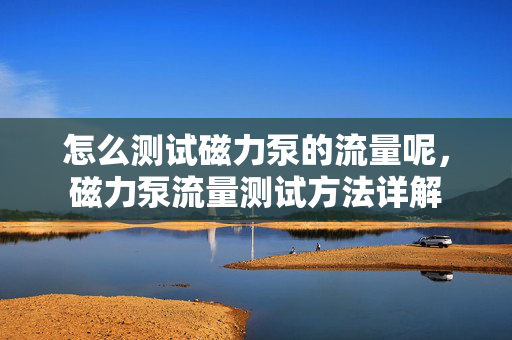 怎么测试磁力泵的流量呢，磁力泵流量测试方法详解