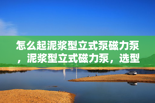 怎么起泥浆型立式泵磁力泵，泥浆型立式磁力泵，选型、使用与维护全攻略