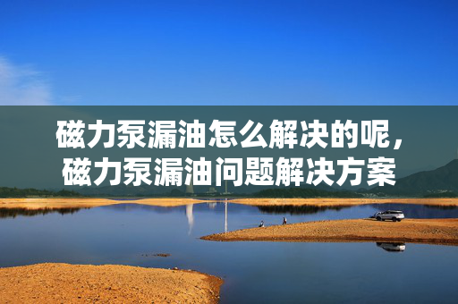 磁力泵漏油怎么解决的呢，磁力泵漏油问题解决方案