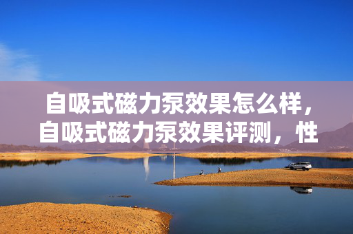 自吸式磁力泵效果怎么样，自吸式磁力泵效果评测，性能卓越，高效稳定