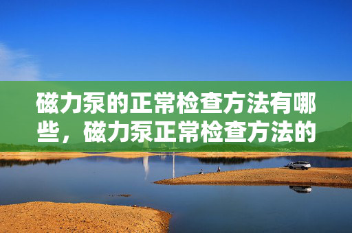 磁力泵的正常检查方法有哪些，磁力泵正常检查方法的全面指南