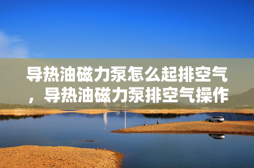 导热油磁力泵怎么起排空气，导热油磁力泵排空气操作指南