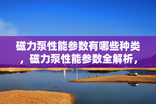 磁力泵性能参数有哪些种类，磁力泵性能参数全解析，了解各种关键指标