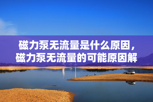 磁力泵无流量是什么原因，磁力泵无流量的可能原因解析