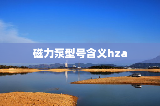 磁力泵型号含义hza