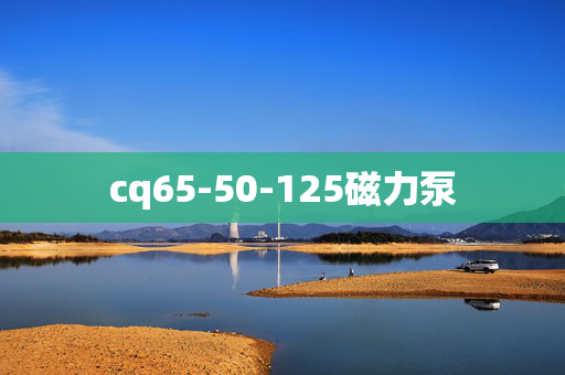 cq65-50-125磁力泵