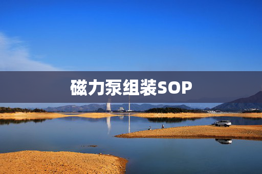 磁力泵组装SOP