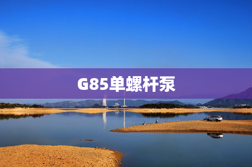 G85单螺杆泵