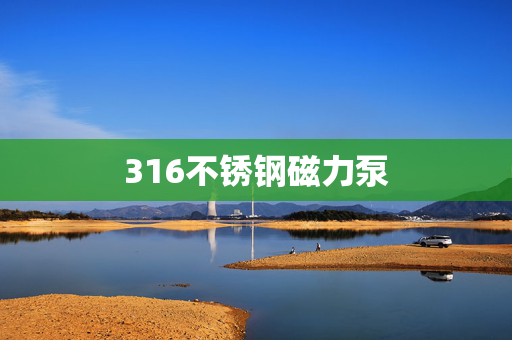 316不锈钢磁力泵