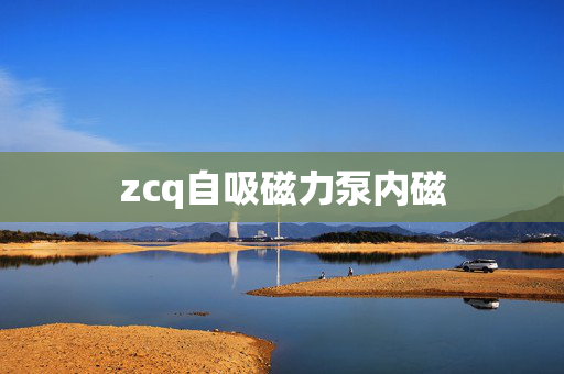 zcq自吸磁力泵内磁