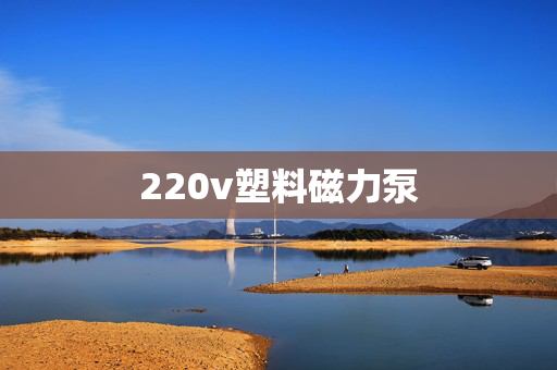 220v塑料磁力泵