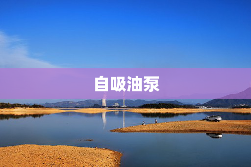 自吸油泵