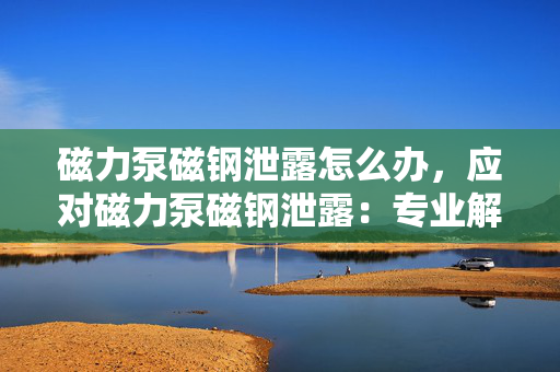 磁力泵磁钢泄露怎么办，应对磁力泵磁钢泄露：专业解决方案与操作指南