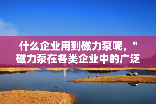 什么企业用到磁力泵呢，