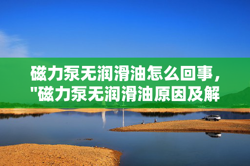 磁力泵无润滑油怎么回事，