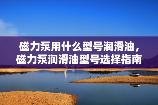 磁力泵用什么型号润滑油，磁力泵润滑油型号选择指南