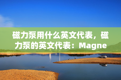 磁力泵用什么英文代表，磁力泵的英文代表：Magnetic Drive Pump