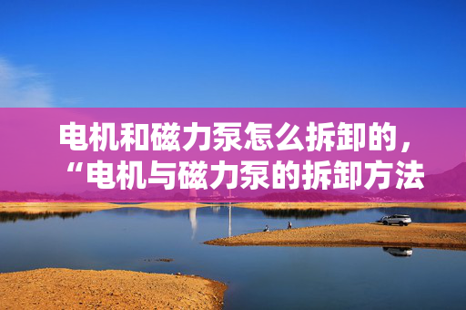 电机和磁力泵怎么拆卸的，“电机与磁力泵的拆卸方法指南”