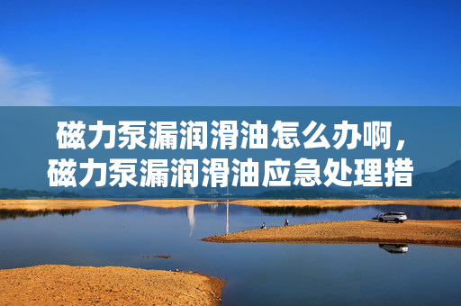 磁力泵漏润滑油怎么办啊，磁力泵漏润滑油应急处理措施与解决方案