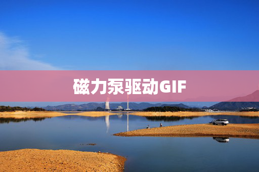 磁力泵驱动GIF