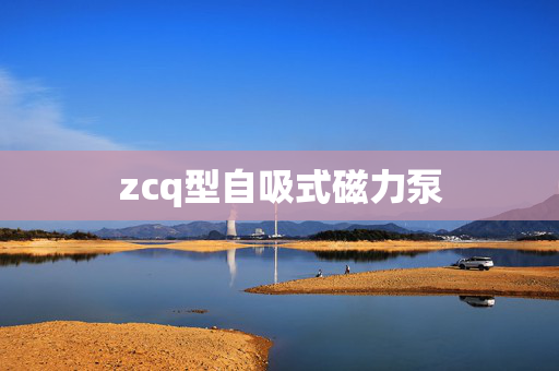 zcq型自吸式磁力泵