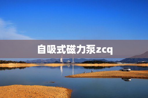 自吸式磁力泵zcq