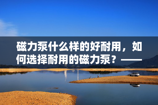 磁力泵什么样的好耐用，如何选择耐用的磁力泵？——优质磁力泵的特点与选购指南